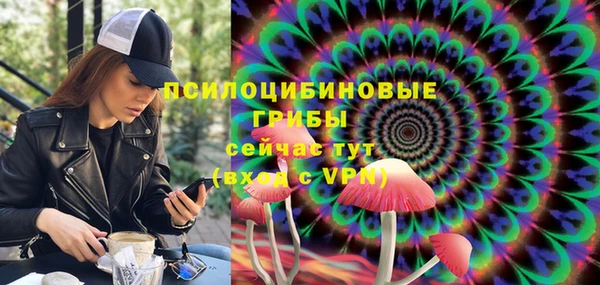 стаф Покров