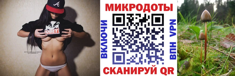 Псилоцибиновые грибы мухоморы  где купить   Стрежевой 