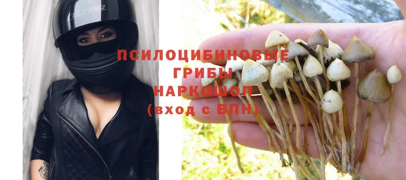 сколько стоит  Стрежевой  Псилоцибиновые грибы Magic Shrooms 