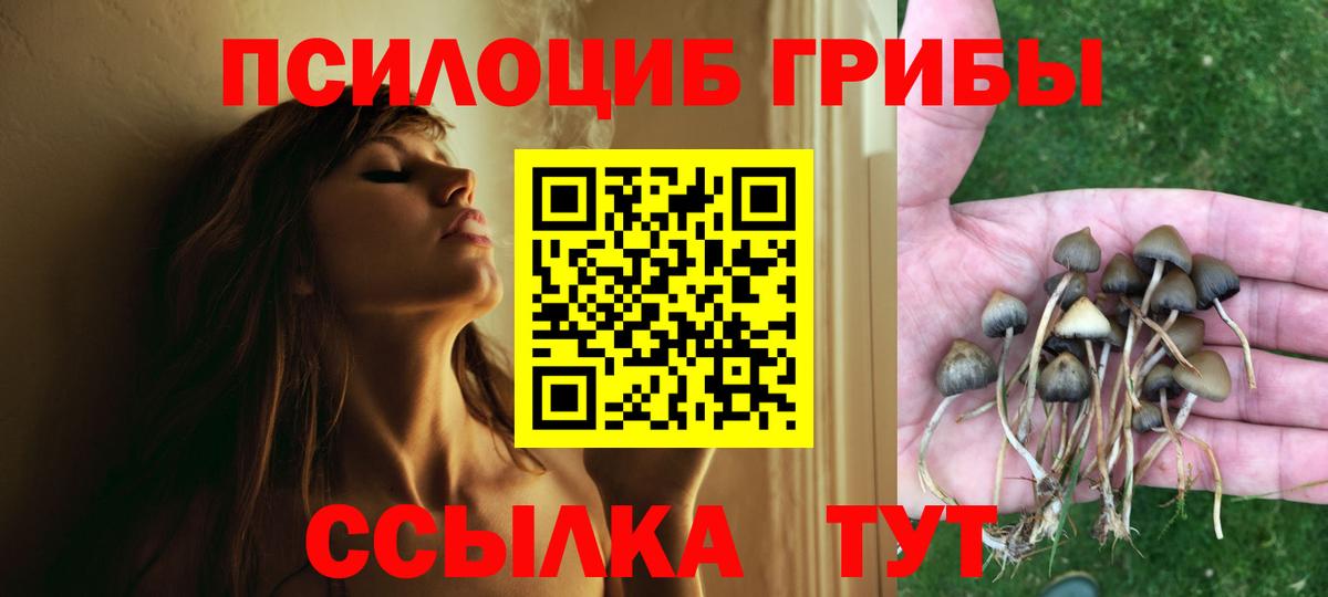 Галлюциногенные грибы Magic Shrooms  Вход с VPN  Стрежевой  Галлюциногенные грибы Psilocybe 