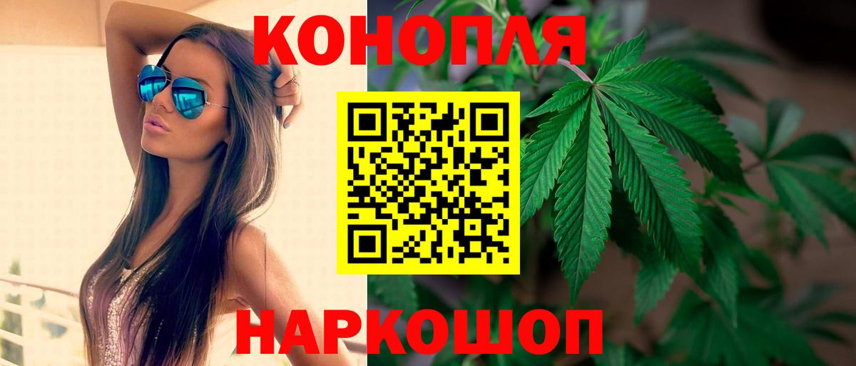 Канабис планчик Стрежевой